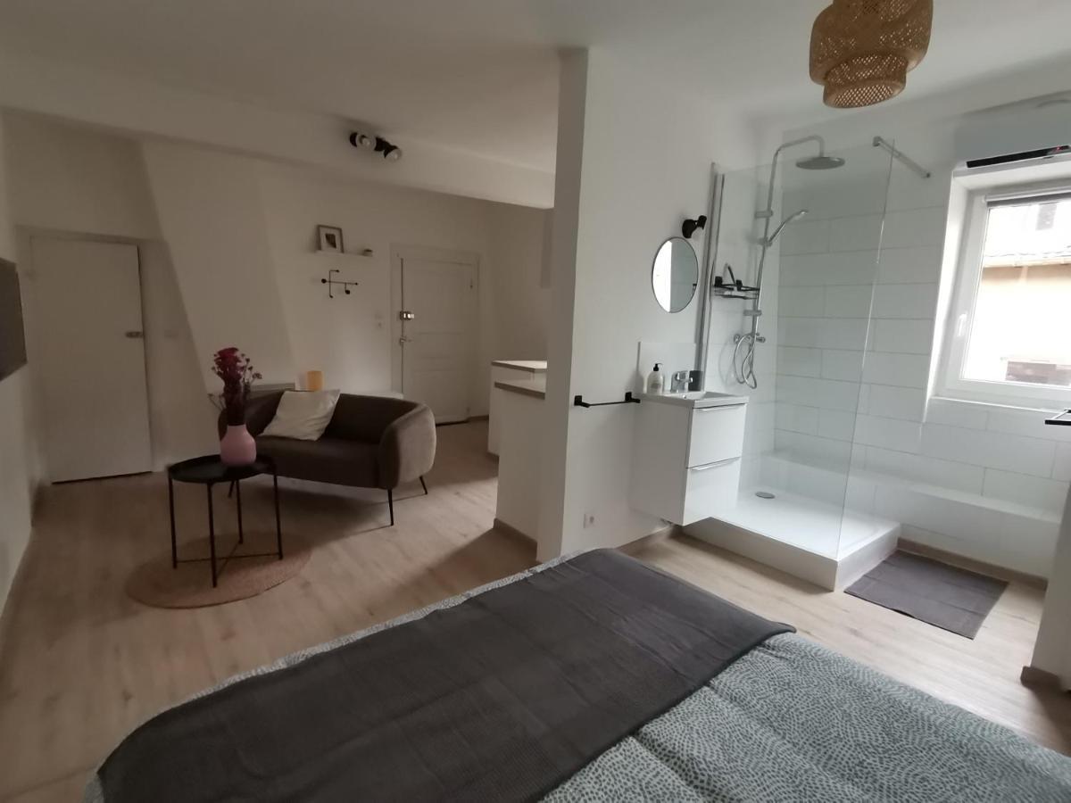 Toi Mon Toit Apartment Colmar Ngoại thất bức ảnh