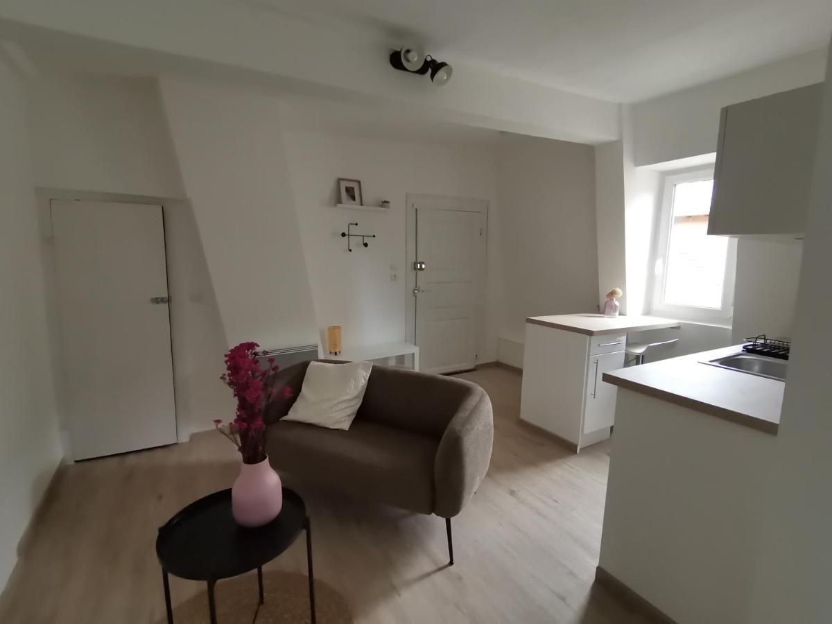 Toi Mon Toit Apartment Colmar Ngoại thất bức ảnh